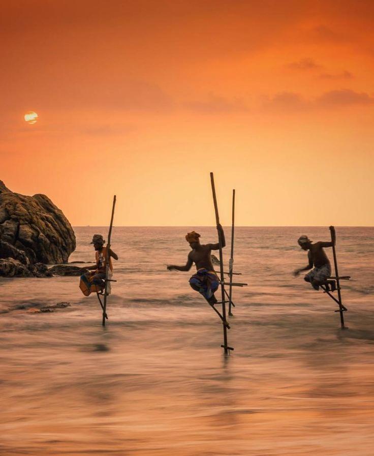 Dream Forest Rest Ahangama Dış mekan fotoğraf